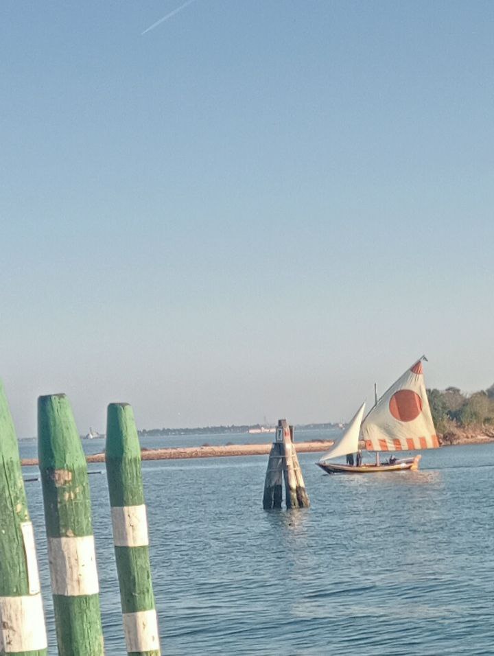 Vento in poppa. Sistema nervoso in stallo. Ma chi sta tenendo il timone?